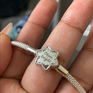 Shine Bright Pandora Mesh Bangle Shine Bright Pandora Mesh Bangle
